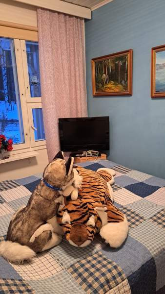 6h+k+et+s+wc+khh+ak+var  Keitele – foto 8