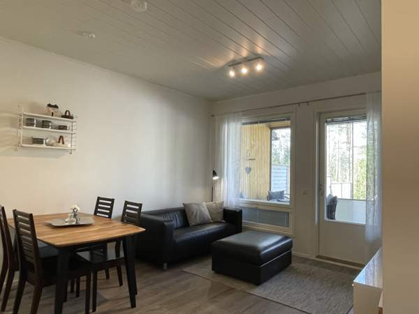 2h + s  Глебычево - изображение 4