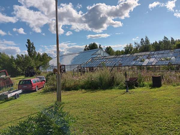 4h + k  Turtkul - valokuva 3