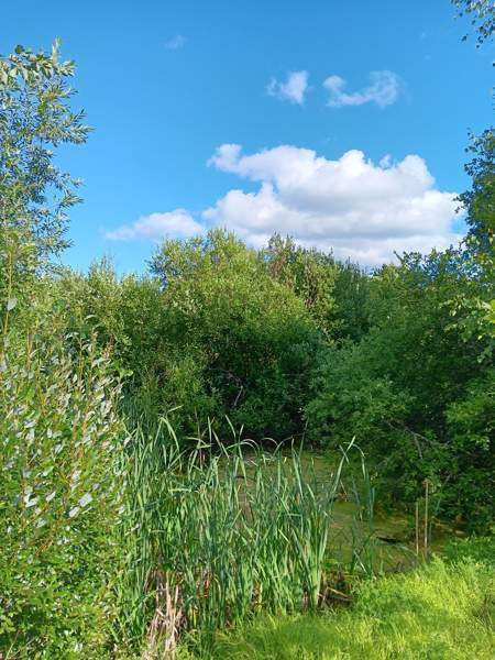 4h + k  Turtkul - valokuva 4