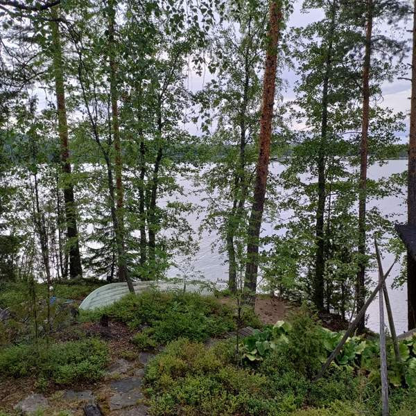 1h  Hirvensalmi - photo 5