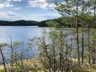 1h + s + p  Mikkeli – foto 8