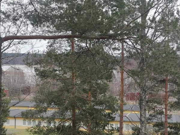 2h + k + p  Raasepori - photo 1