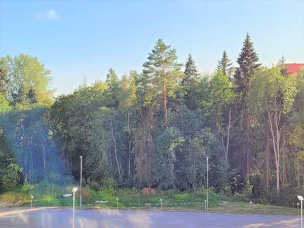 1h + avok + p  Nokia - valokuva 7