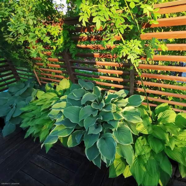 1h  Tampere - photo 8