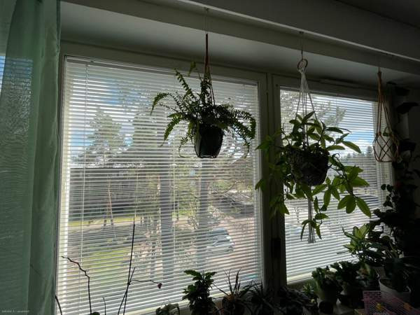 2h + k +kph+parv  Chukotskiy Avtonomnyy Okrug – foto 3