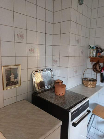 2h + k + s  Zaporiz'ka Oblast' – foto 4