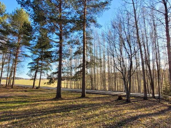 3h + k + kph + s + at  Tampere - valokuva 3