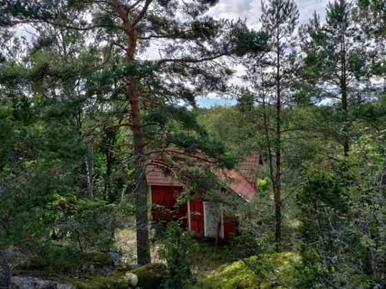 2h  Rauma