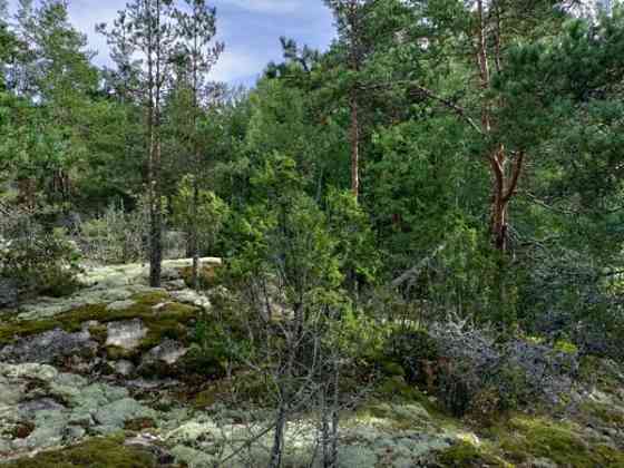 2h  Rauma