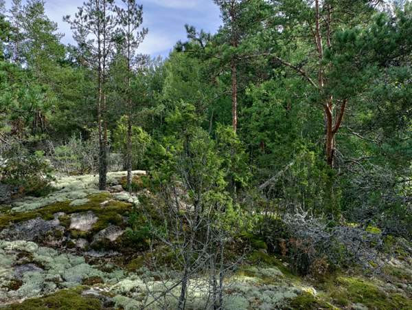 2h  Rauma – foto 5