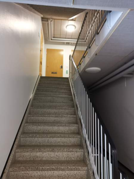 2h + p  Ruovesi - valokuva 4