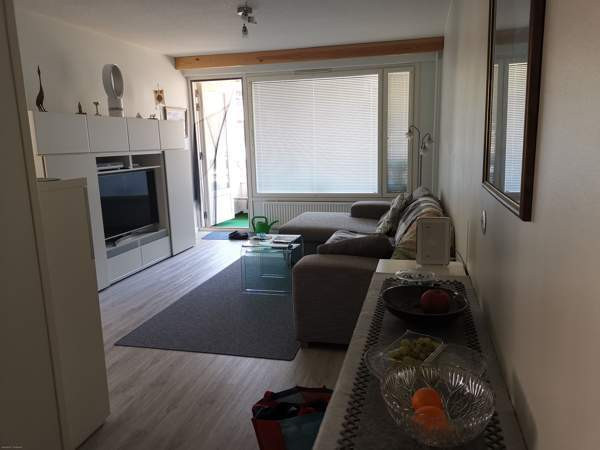 2h + p  Ruovesi - valokuva 5