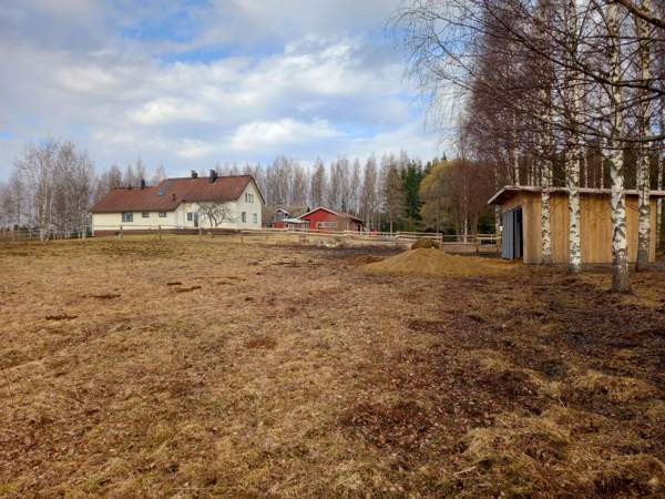 5h + s + p  Chuvashskaya Respublika - photo 2