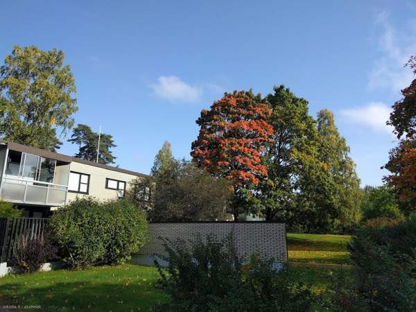 1h, keittiö, kph, vh  Kirkkonummi – foto 1