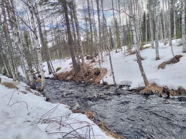 5h + k + s  Taivalkoski - photo 5