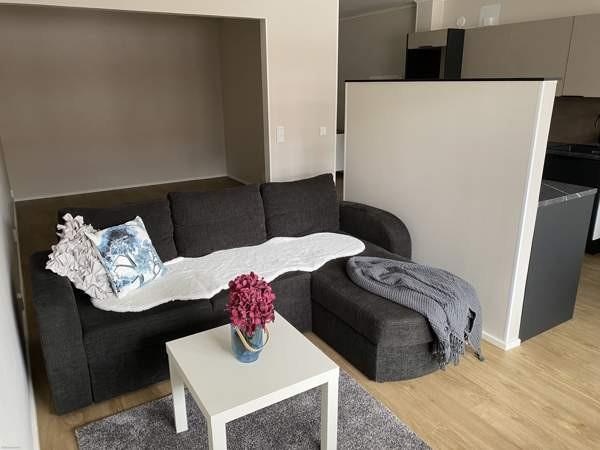 1h + s + terassi  Savonlinna - valokuva 6