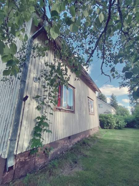 3h + k  Kurikka - valokuva 2