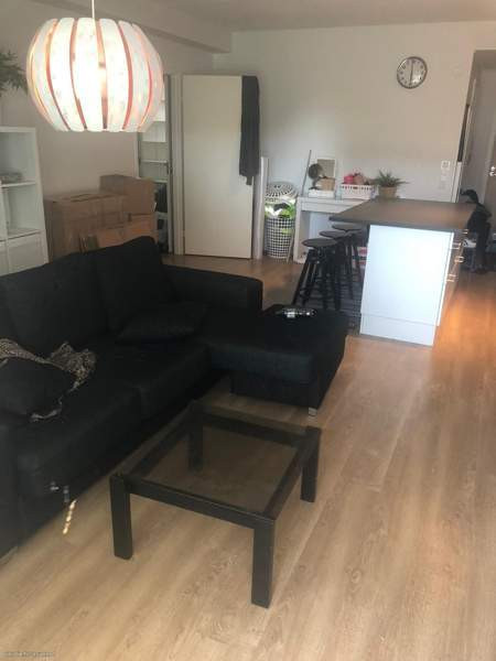 3h + avok + p  Glebychevo – foto 7