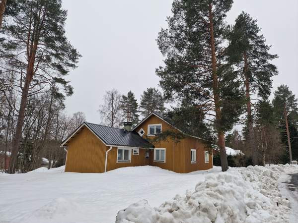 3h + k + s  Vesanto - изображение 1