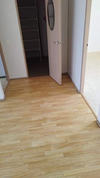 3h + s  Rautjärvi – foto 6