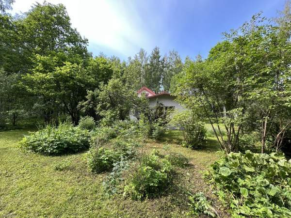 5h + s  Rantasalmi - valokuva 5