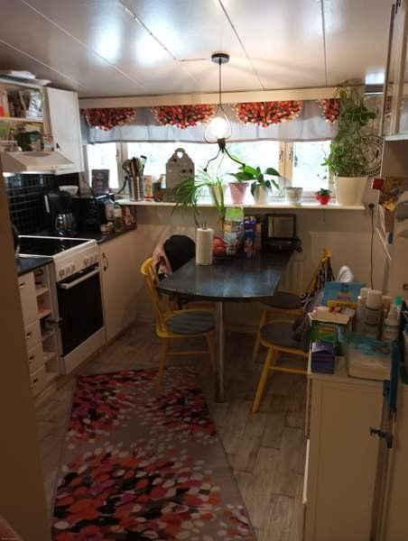 2h + k + p  Janakkala - valokuva 2