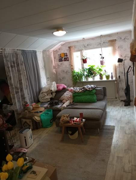 2h + k + p  Janakkala - valokuva 3