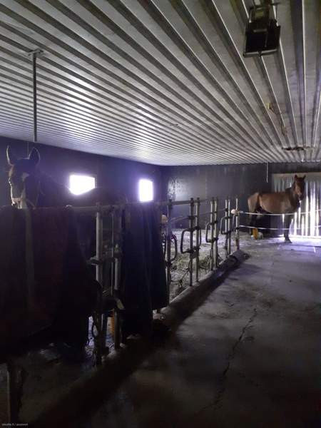 4h+k+s  Nurmes – foto 2