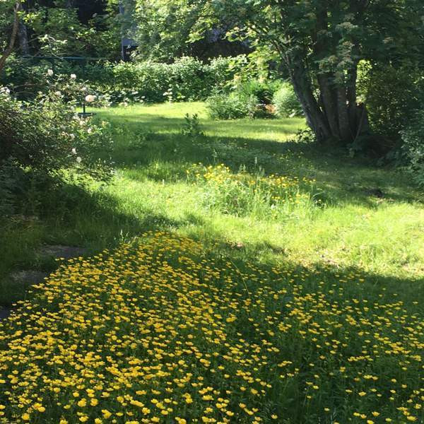 6h, k, rh/th, oh, 2xkph/wc, 3xet, aula. Kellarik.  Hyvinkää - valokuva 1