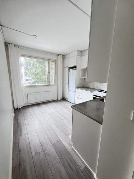 2h + k + p  Turtkul – foto 7