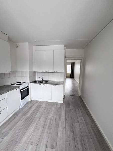 2h + k + p  Turtkul – foto 6