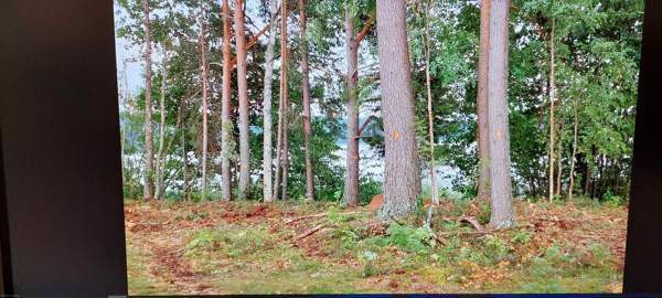 1h + s  Leppävirta – foto 3