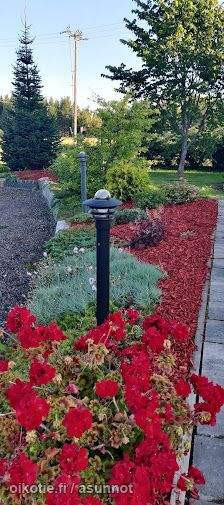 5h + s  Kyyjärvi - изображение 8