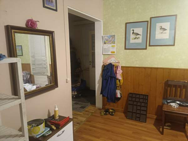 6h + k + s  Vihanti - valokuva 5
