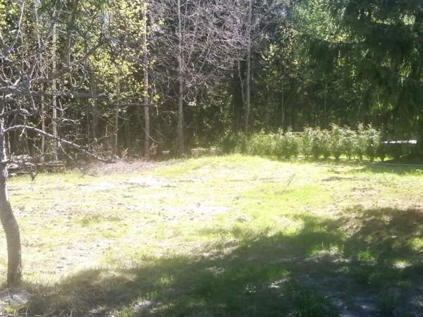 4h  Helsinki - valokuva 2