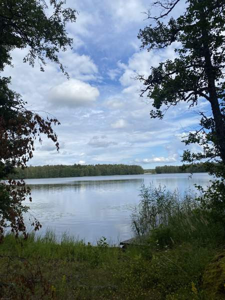 4h+k+kuisti  Lovisa - valokuva 5