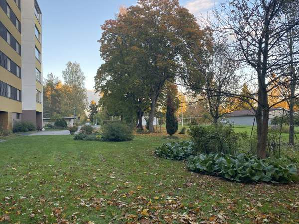 3h + k + s + ph  Loimaa - photo 6