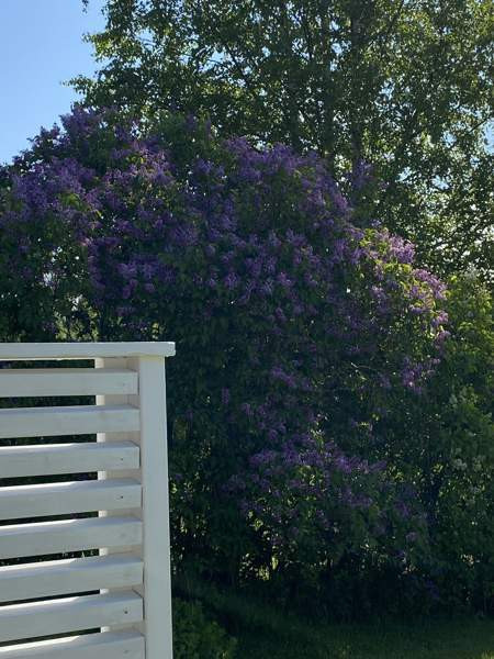 2h + k + s  Kannonkoski - photo 3