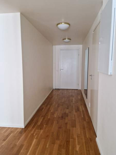 3h + k + s + p  Helsinki - photo 3