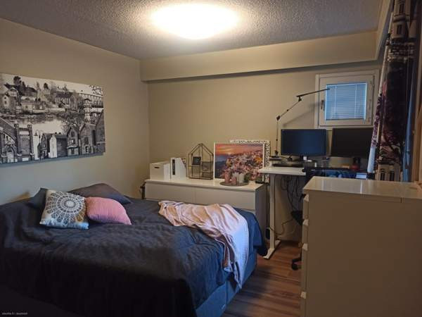 2h  Оулу - изображение 7