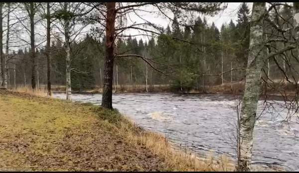 2h + s  Oulu - photo 5