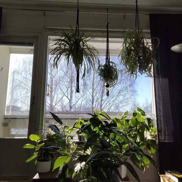 2h + p + kh + vh  Lappeenranta - photo 7