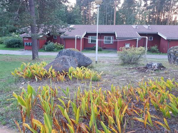 2h + k + s  Ruokolahti - valokuva 3