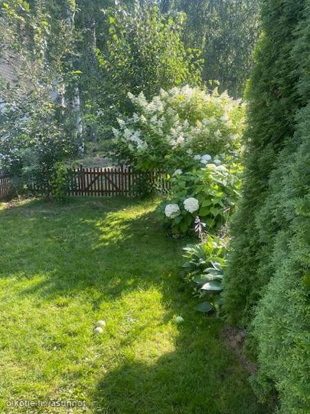 3h + s + p  Tampere – foto 3