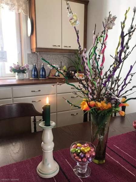 5h + avok  Seinäjoki - valokuva 2