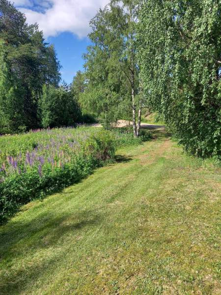 2h + k + s  Juuka - valokuva 4