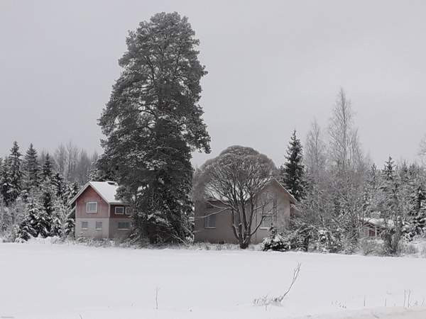 2h + k  Mynämäki - valokuva 2