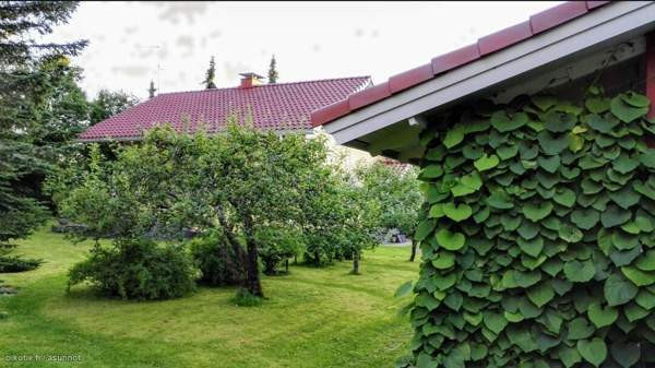 3h + k + s  Zaporiz'ka Oblast' - valokuva 2