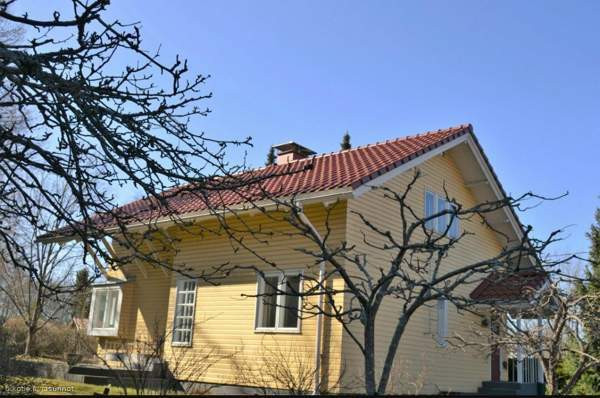 3h + k + s  Zaporiz'ka Oblast' - valokuva 1